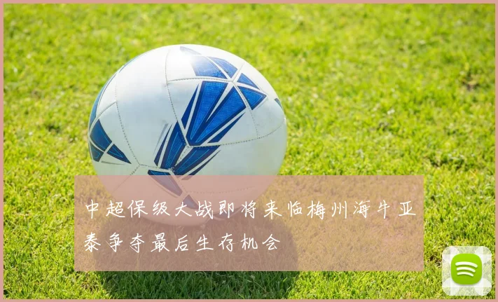 中超保级大战即将来临梅州海牛亚泰争夺最后生存机会