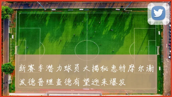 新赛季潜力球员大揭秘惠特摩尔谢泼德普理查德有望迎来爆发