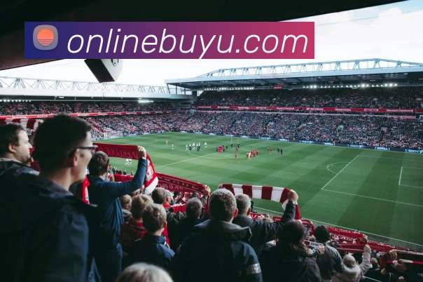 线上捕鱼平台APP 封面图